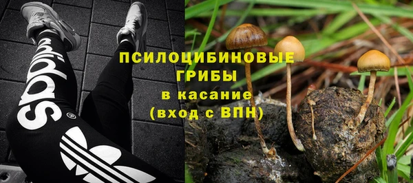 бошки Аркадак