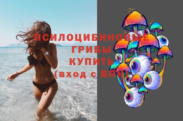 бошки Аркадак