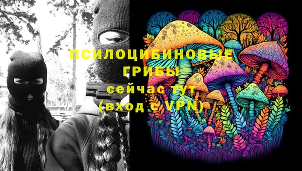 бошки Аркадак